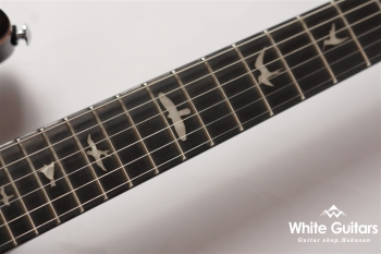 SE Custom 24 Floyd - Charcoal Burst