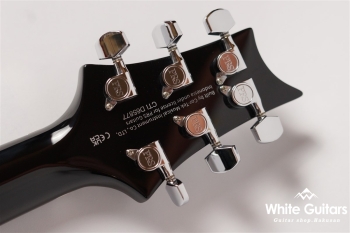 SE Custom 24 Floyd - Charcoal Burst