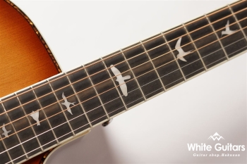 SE A40E - Tobacco Burst