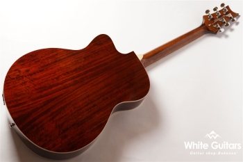 SE A40E - Tobacco Burst