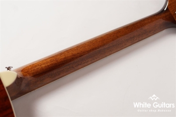 SE A40E - Tobacco Burst