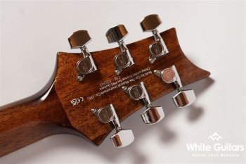 SE A40E - Tobacco Burst