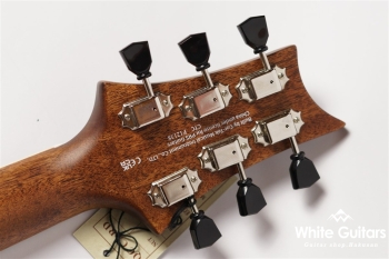 SE Parlor P20E - Satin Black Top