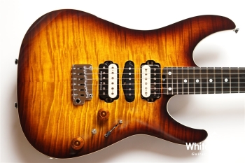 NV-3-24-AL-VTR - Bengal Burst #S2201162