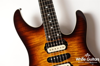 NV-3-24-AL-VTR - Bengal Burst #S2201162