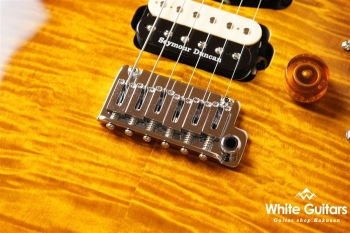 NV-3-24-AL-VTR - Bengal Burst #S2201162