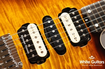 NV-3-24-AL-VTR - Bengal Burst #S2201162