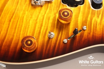 NV-3-24-AL-VTR - Bengal Burst #S2201162