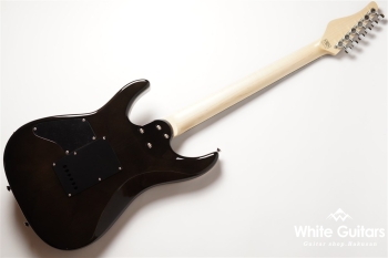 NV-3-24-AL-VTR - Bengal Burst #S2201162