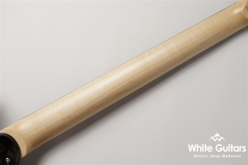 NV-3-24-AL-VTR - Bengal Burst #S2201162