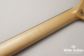 NV-3-24-AL-VTR - Bengal Burst #S2201162