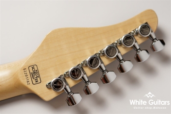 NV-3-24-AL-VTR - Bengal Burst #S2201162