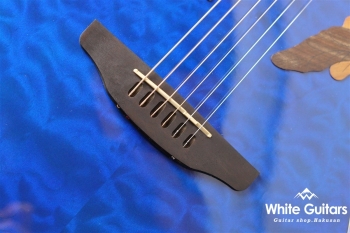 Celebrity Elite Exotic Mid Depth(CE44P)- Blue Transparent Quilt