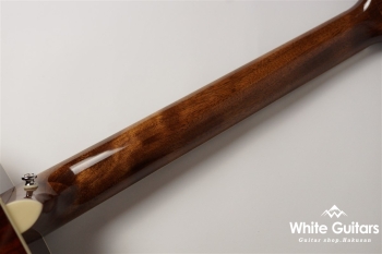 SE T40E - Tobacco Burst