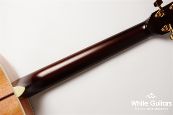 HF-SAKURA’22 F,S/STD - SKP