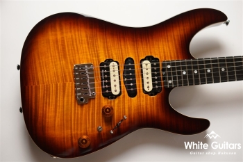 NV-3-24-AL-VTR - Bengal Burst #S2201160