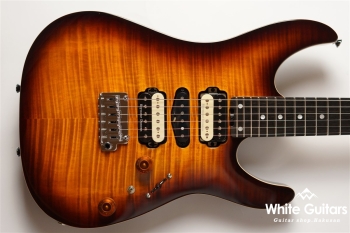 NV-3-24-AL-VTR - Bengal Burst #S2201160