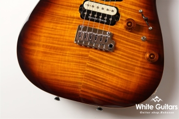 NV-3-24-AL-VTR - Bengal Burst #S2201160