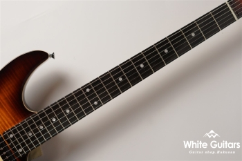 NV-3-24-AL-VTR - Bengal Burst #S2201160