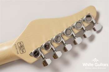 NV-3-24-AL-VTR - Bengal Burst #S2201160