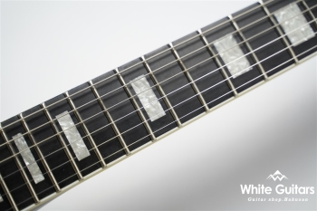 Michael Schenker Custom Flames