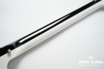 Michael Schenker Custom Flames