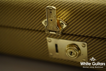 Fender Stratocaster 1979