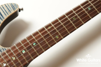 DST-Pro24 - Mahogany Limited 2018 - Trans Blue Denim