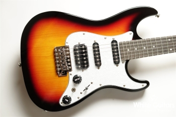 GS-Mini - 3TS