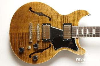 ALBATROSS-DX20 - TBR