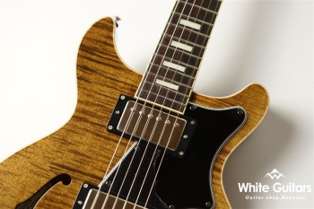 ALBATROSS-DX20 - TBR