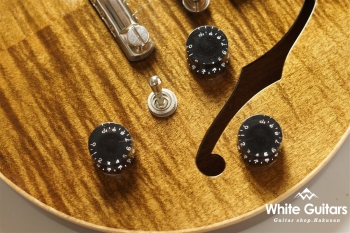 ALBATROSS-DX20 - TBR