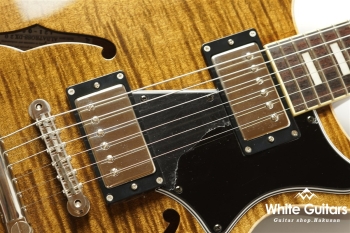 ALBATROSS-DX20 - TBR