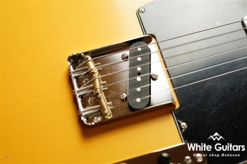 dT-206 MN Ash/Maple - Butterscotch Blonde