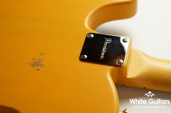 dT-206 MN Ash/Maple - Butterscotch Blonde