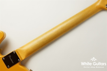 dT-206 MN Ash/Maple - Butterscotch Blonde