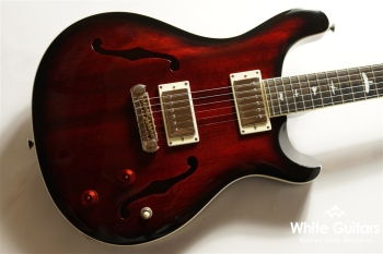 SE Holllowbody Standard - Fire Red Burst