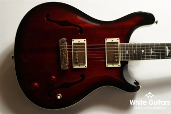 SE Holllowbody Standard - Fire Red Burst