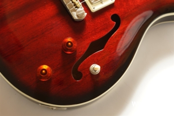 SE Holllowbody Standard - Fire Red Burst