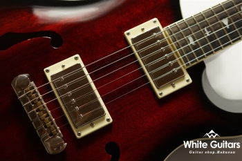 SE Holllowbody Standard - Fire Red Burst