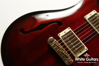 SE Holllowbody Standard - Fire Red Burst