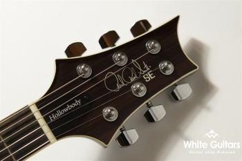 SE Holllowbody Standard - Fire Red Burst