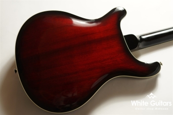 SE Holllowbody Standard - Fire Red Burst