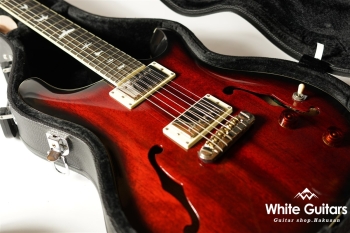 SE Holllowbody Standard - Fire Red Burst