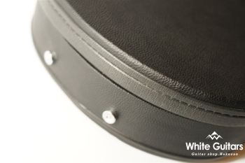 SE Holllowbody Standard - Fire Red Burst