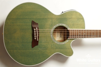 TSP138C - Custom Foliage Green