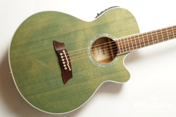 TSP138C - Custom Foliage Green