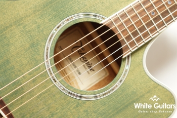 TSP138C - Custom Foliage Green