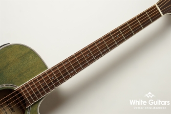 TSP138C - Custom Foliage Green