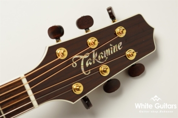 TSP138C - Custom Foliage Green